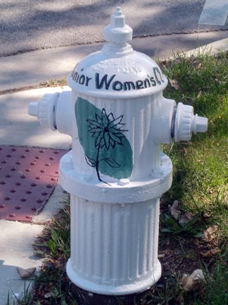 Junior Womens Club - Vermont and Addison (3)